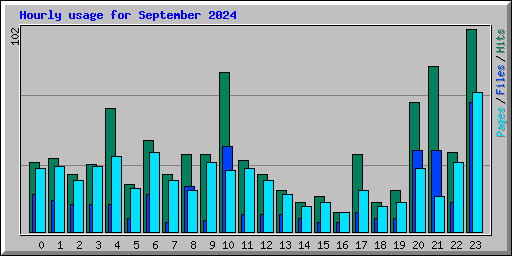 Hourly usage for September 2024